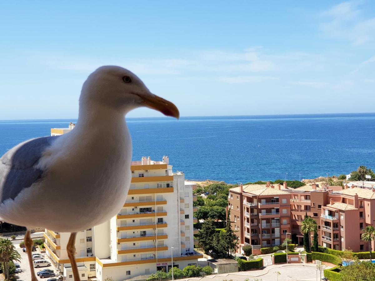 1501 - Clube Praia Mar Διαμέρισμα Portimão Εξωτερικό φωτογραφία